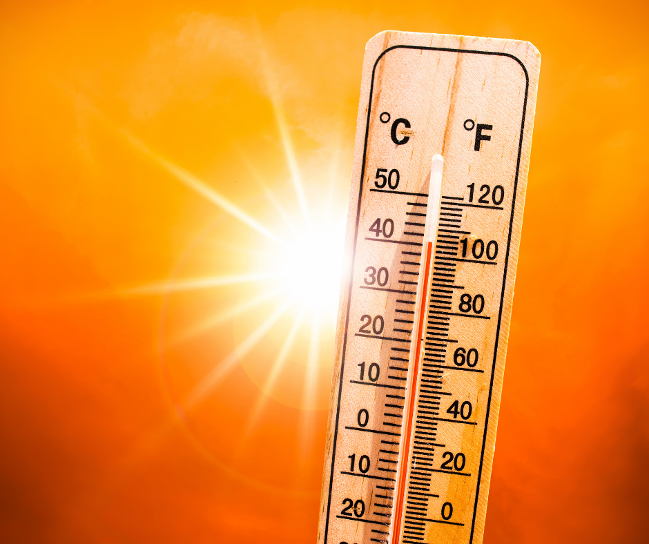 Lire la suite à propos de l’article Canicule & fortes chaleurs : adoptons les bons réflexes